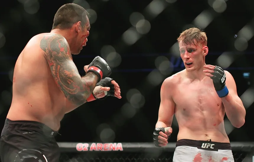 Volkov Werdum UFC Londyn