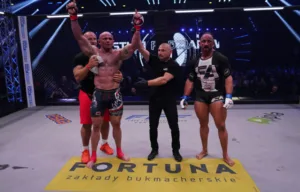 Free Fight Federation