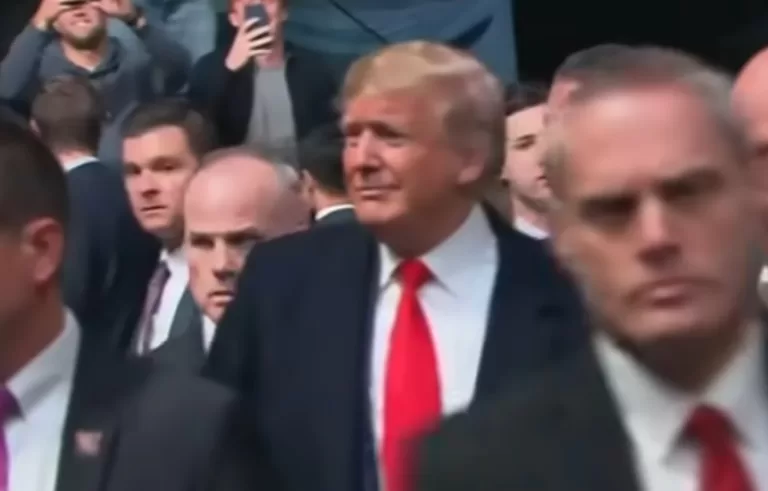 Donald Trump UFC 244