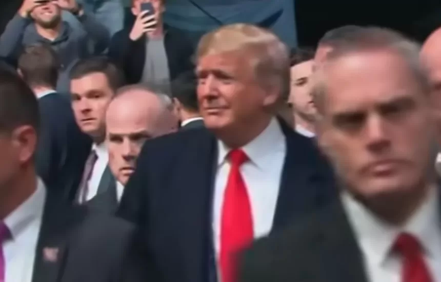 Donald Trump UFC 244