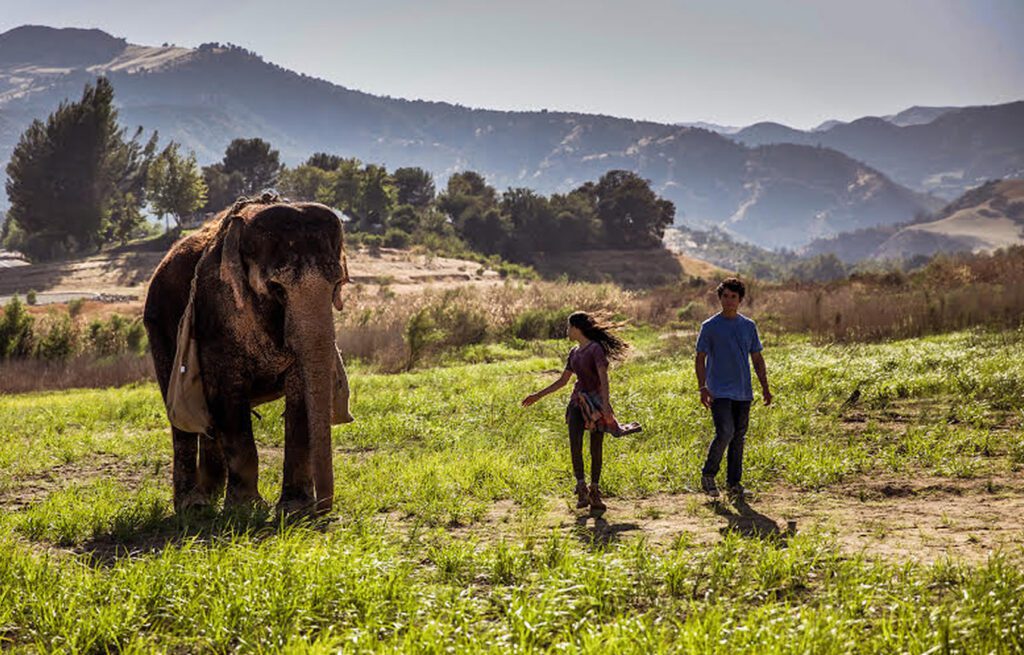 Ratujmy Florę premiera filmu