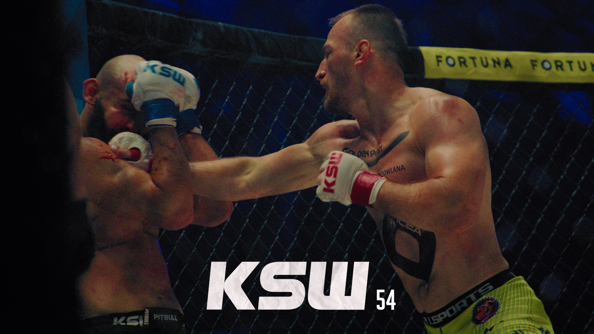 KSW 54