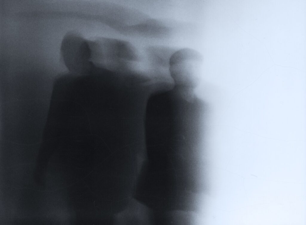 Waglewski Fisz Emade Ziemia