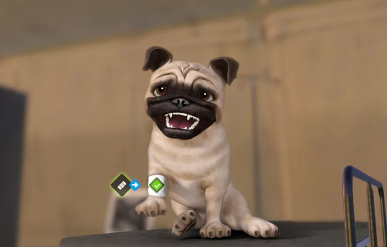 Animal Rescue premiera