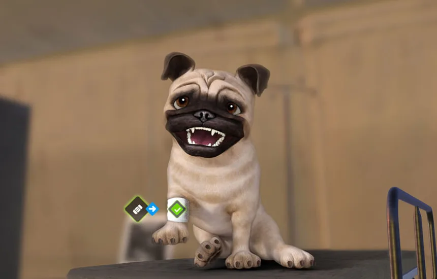 Animal Rescue premiera