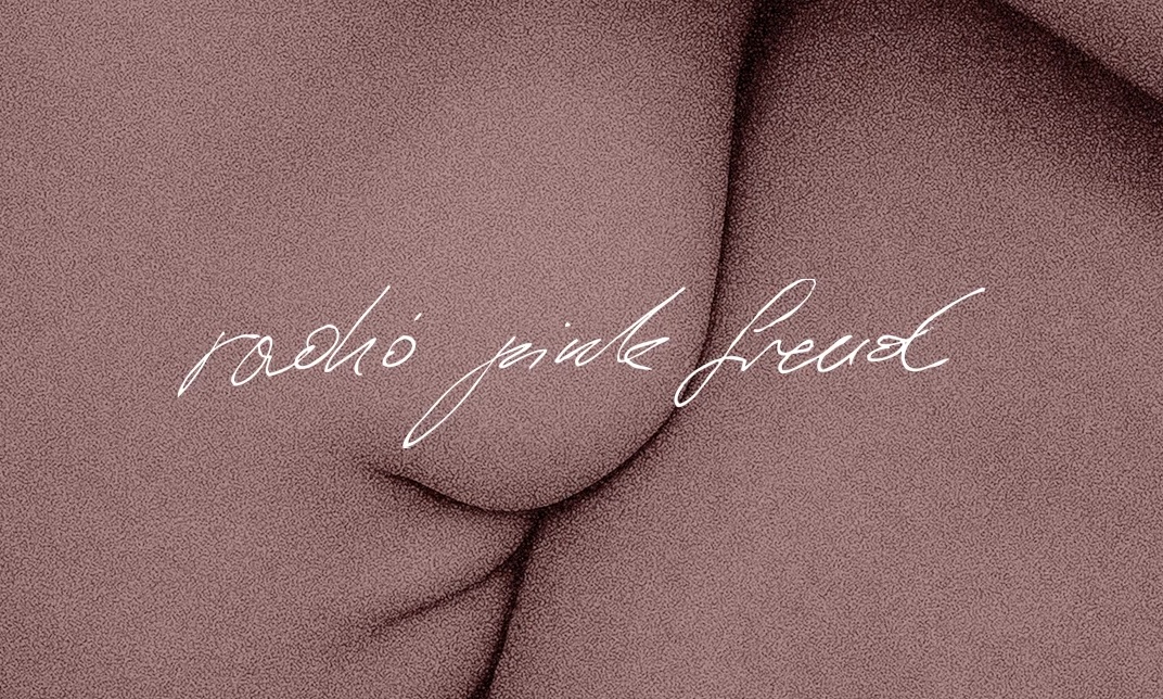 20201126_pinkfreud Fot. mat. prasowy