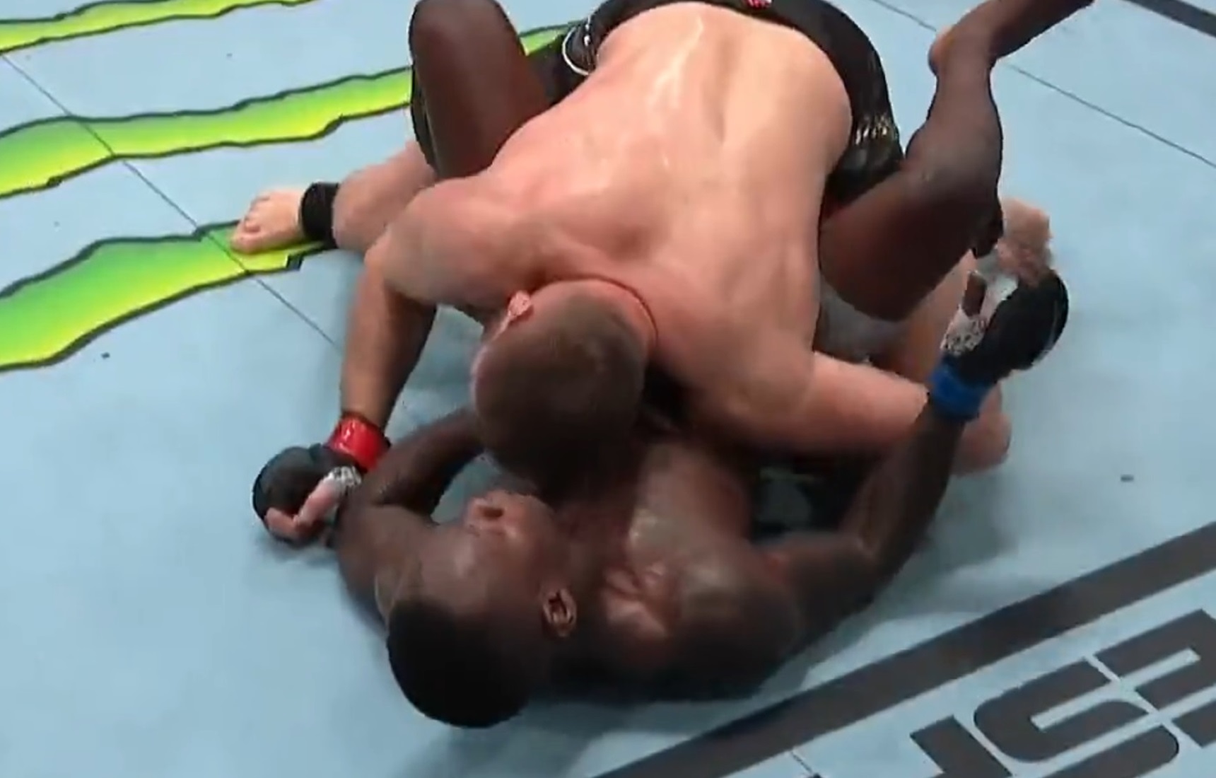 UFC 259 Jan Błachowicz