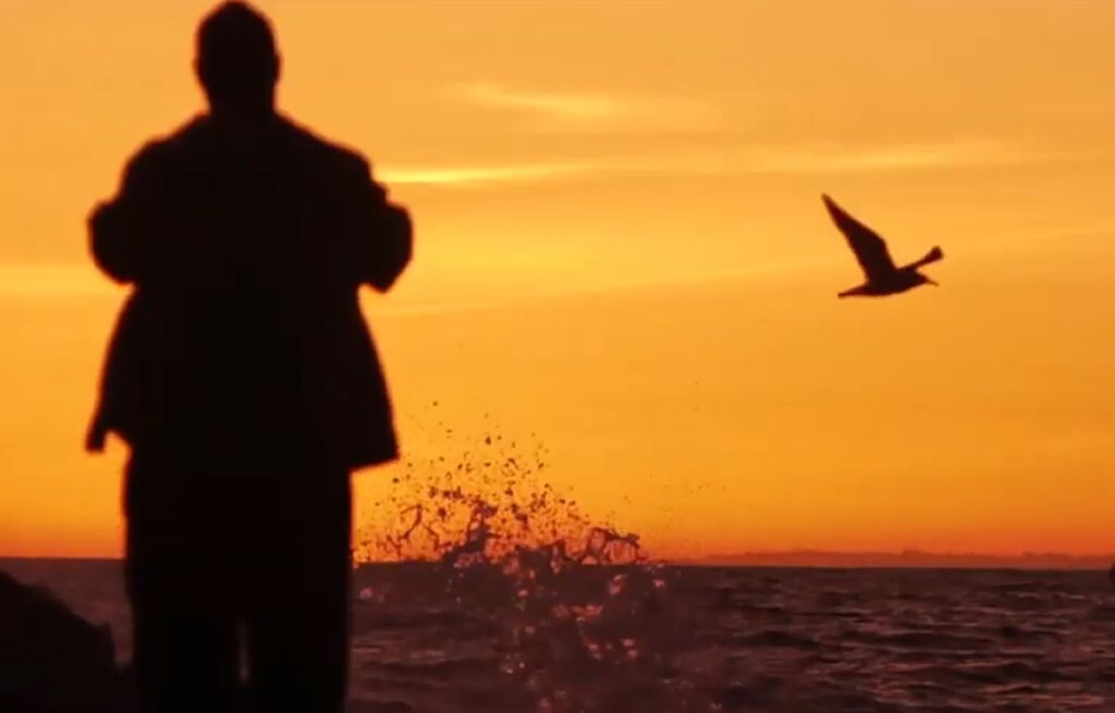 Pink Freud Pink Pepper