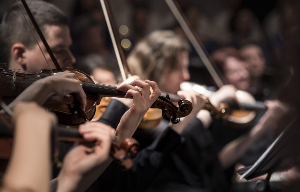 Orkiestra Wojskowa wśród róż