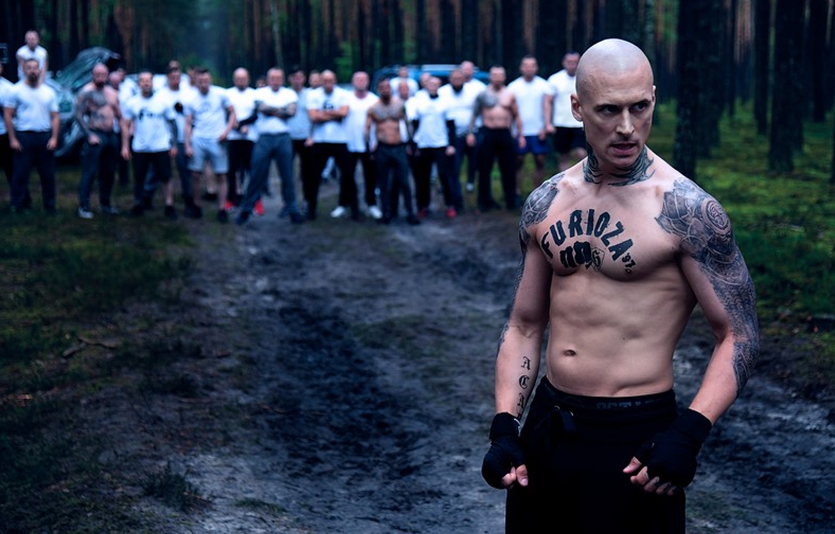 Mateusz Damięcki w Furiozie