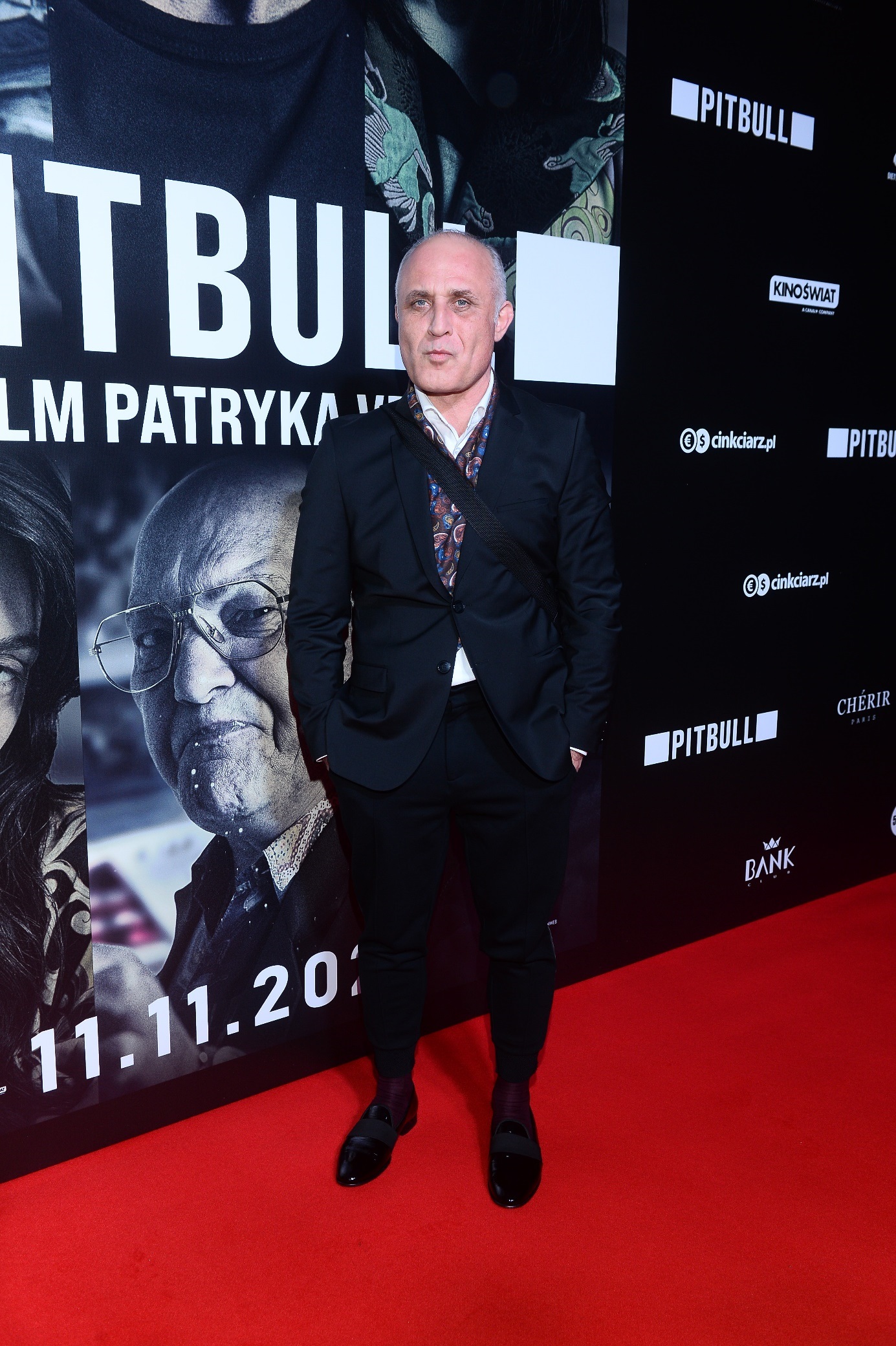 Pitbull Patryka Vegi