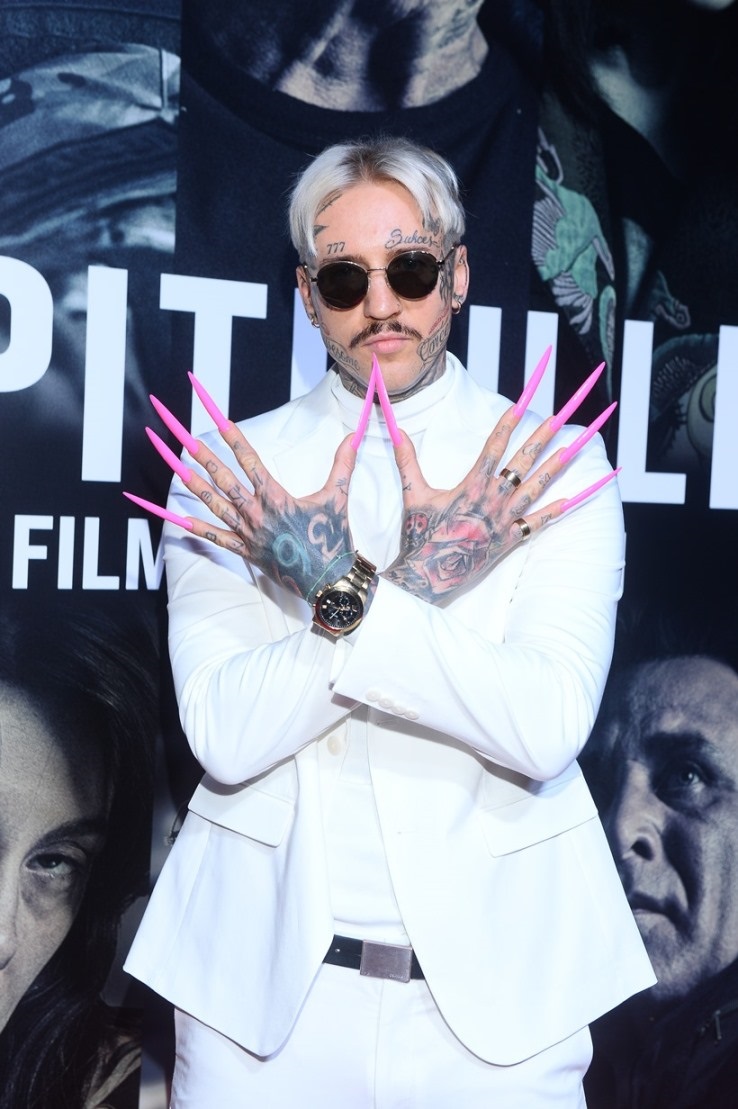 Pitbull Patryka Vegi