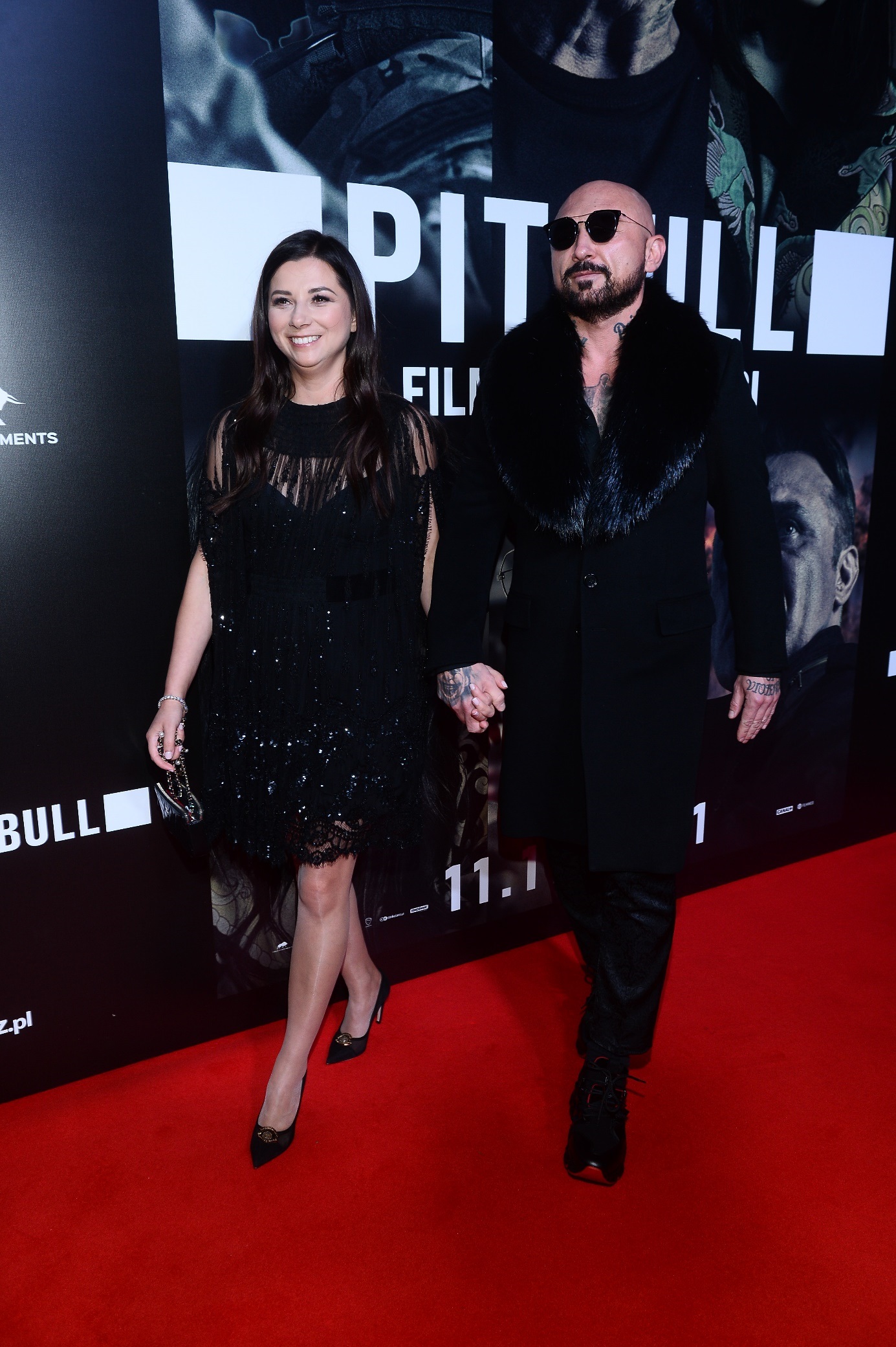 Pitbull Patryka Vegi