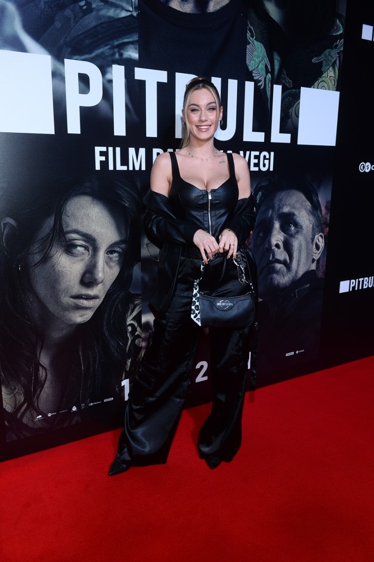 Pitbull Patryka Vegi