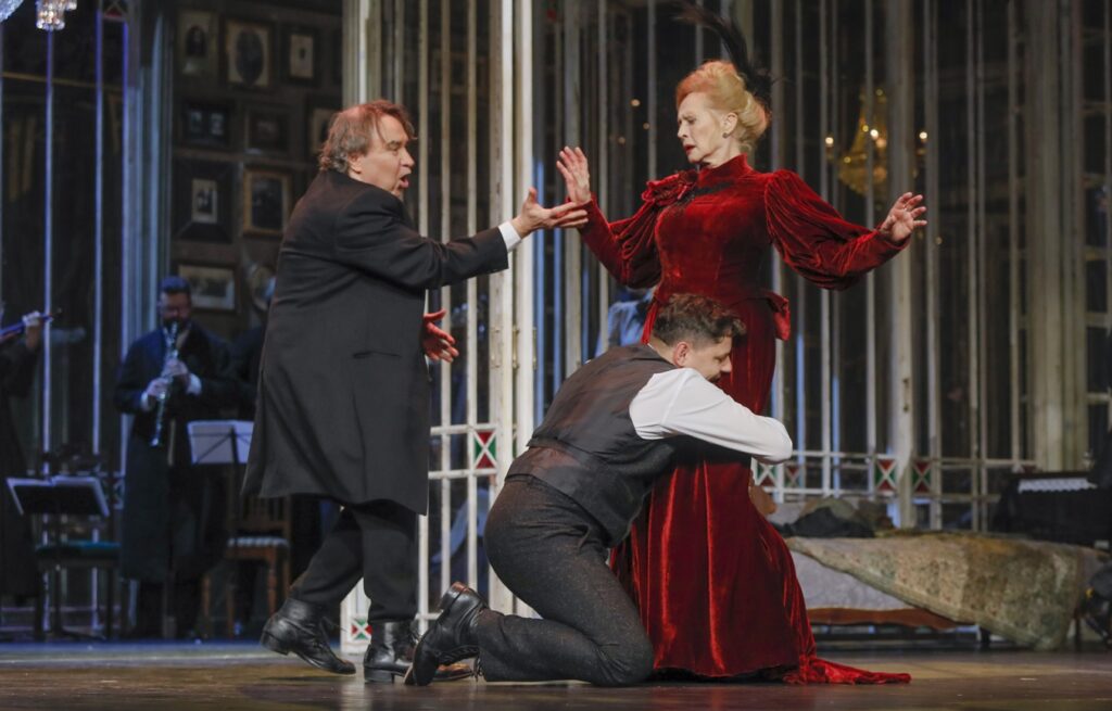 Wiśniowy sad zdjęcia