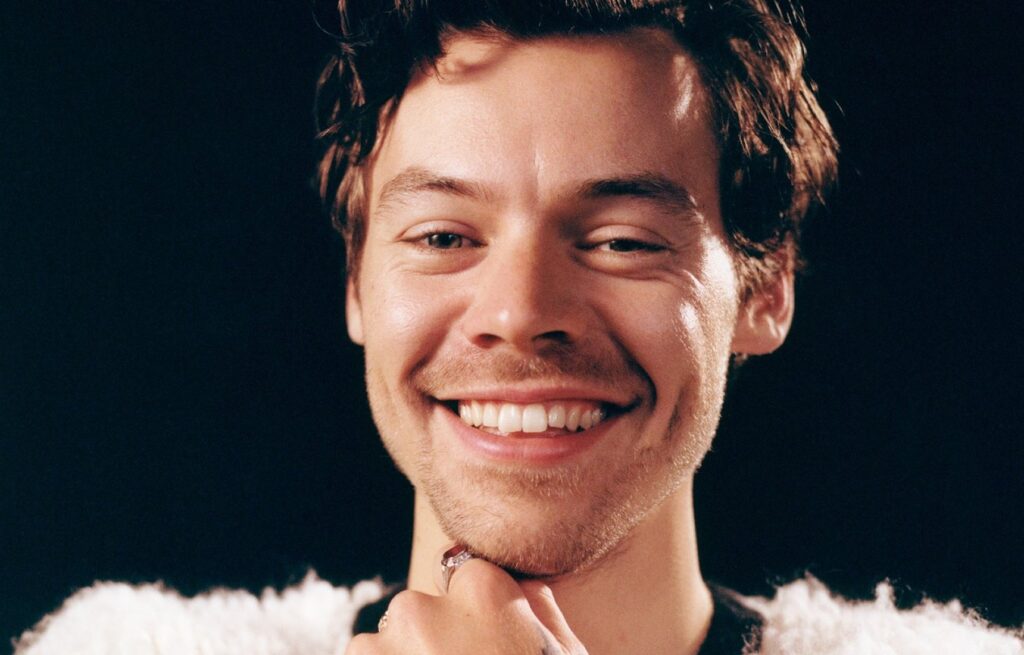 Harry Styles Harry House