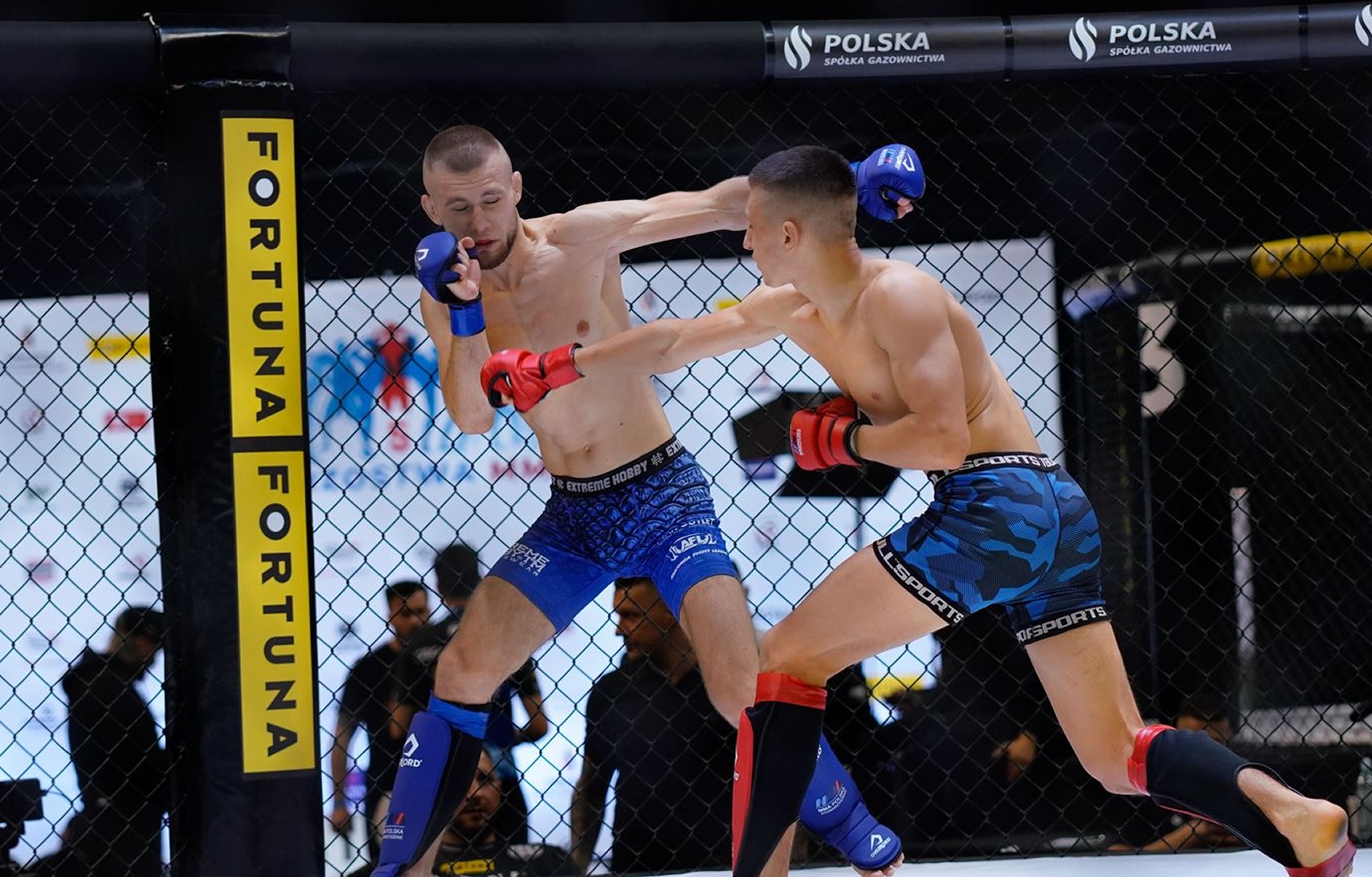 5 Mistrzostwa MMA Gliwice