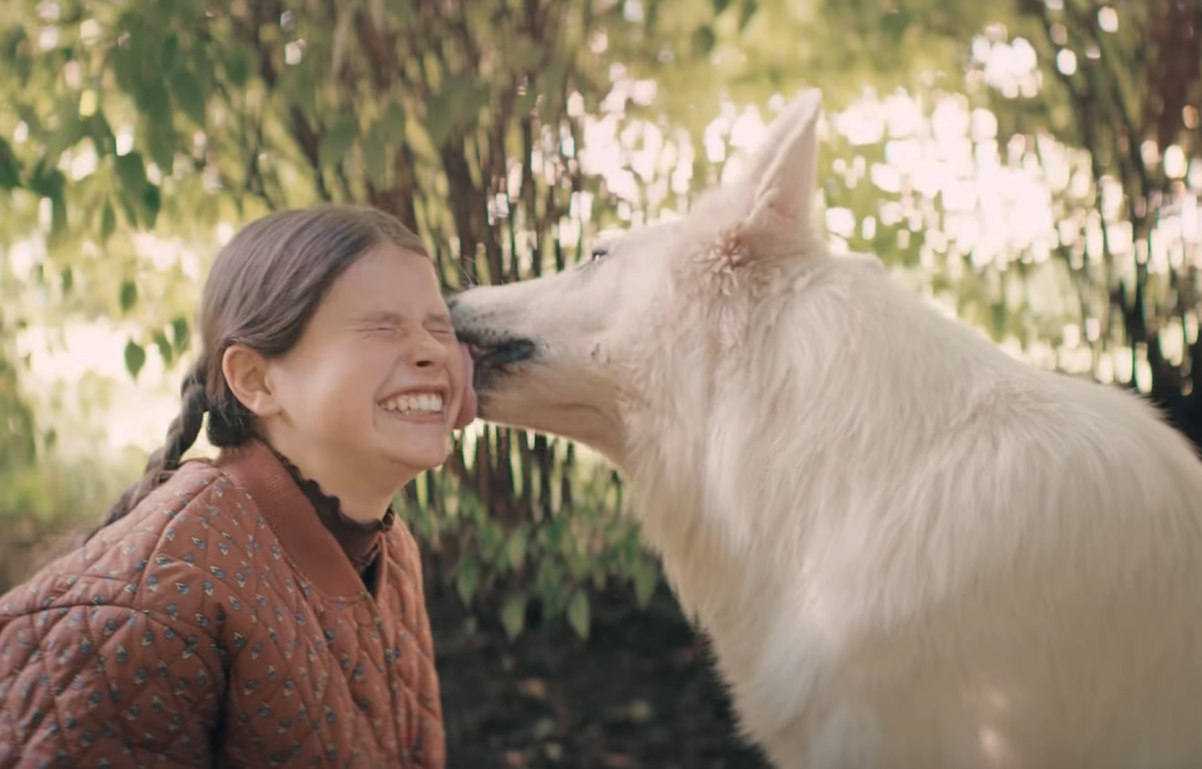 O psie który jeździł koleją film