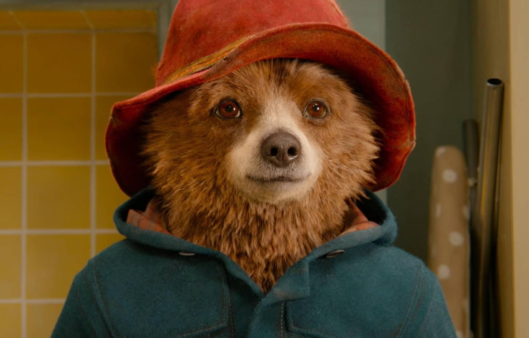 Paddington w Peru