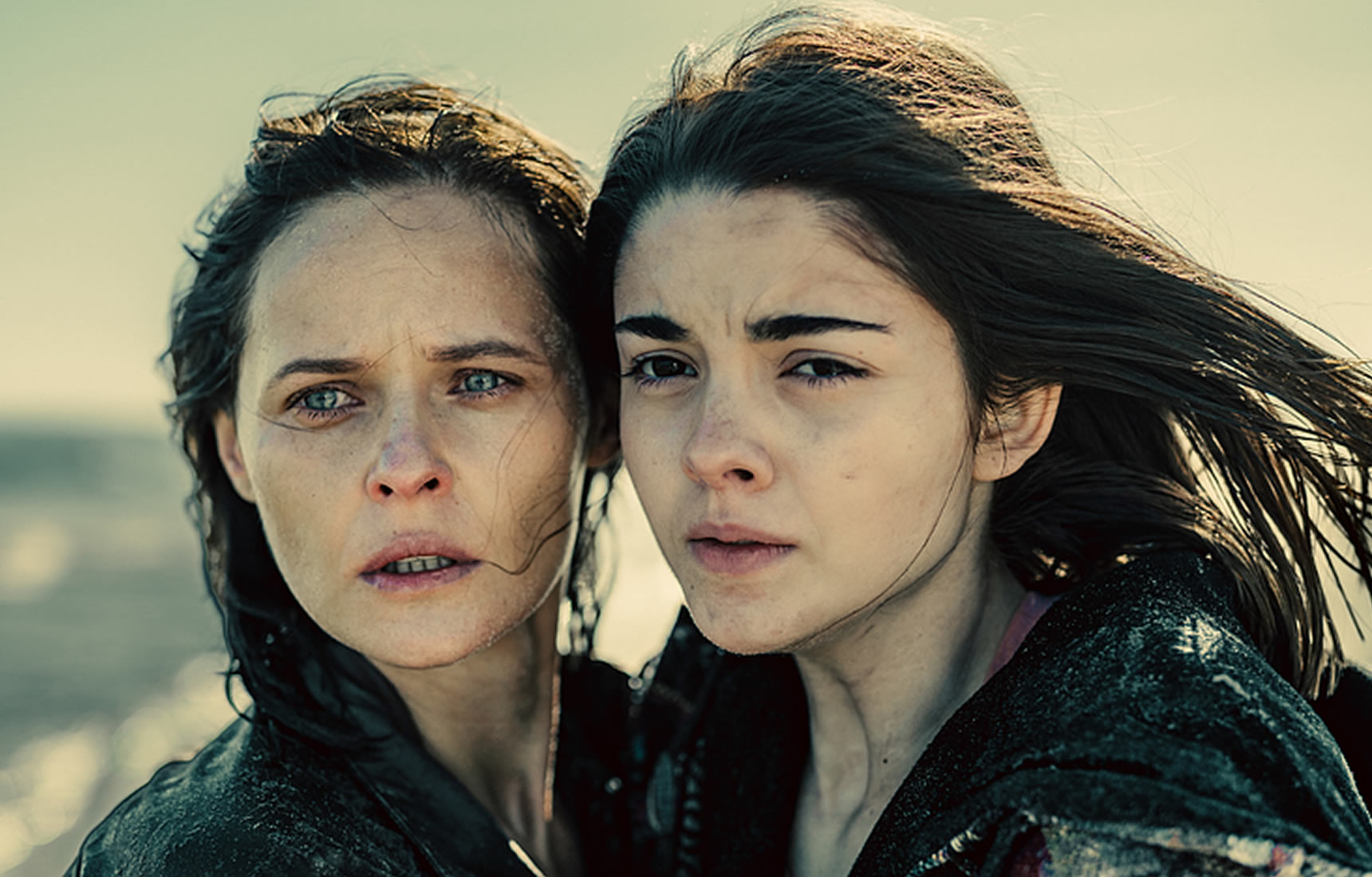 Czarne stokrotki serial