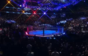 gdzie oglądać UFC