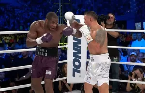 Usyk Dubois wideo