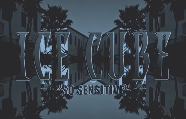 Ice Cube So Sensitive