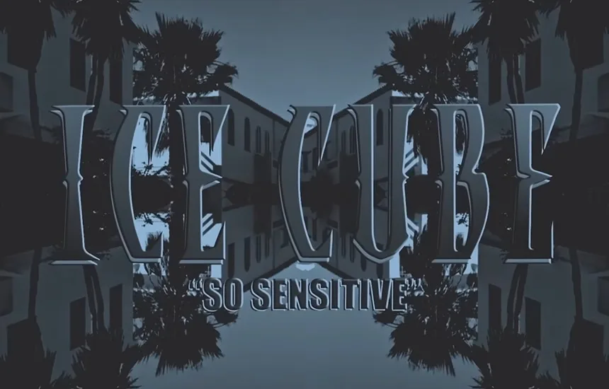 Ice Cube So Sensitive