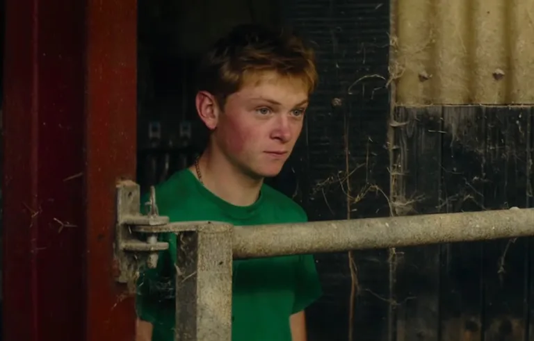 Niech to diabli film