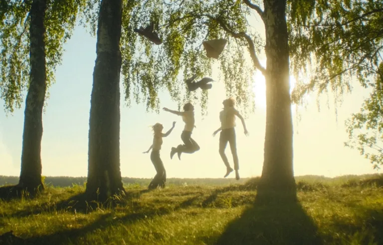 Przebiśniegi Letnie myśli