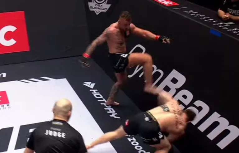 Denis Załęcki Piotr Hallmann