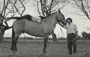 Gaucho Gaucho - film w kinach od 6 czerwca