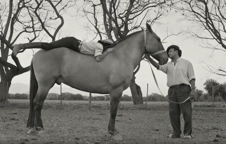 Gaucho Gaucho - film w kinach od 6 czerwca