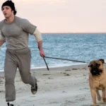 jestem rocky premiera w polsce